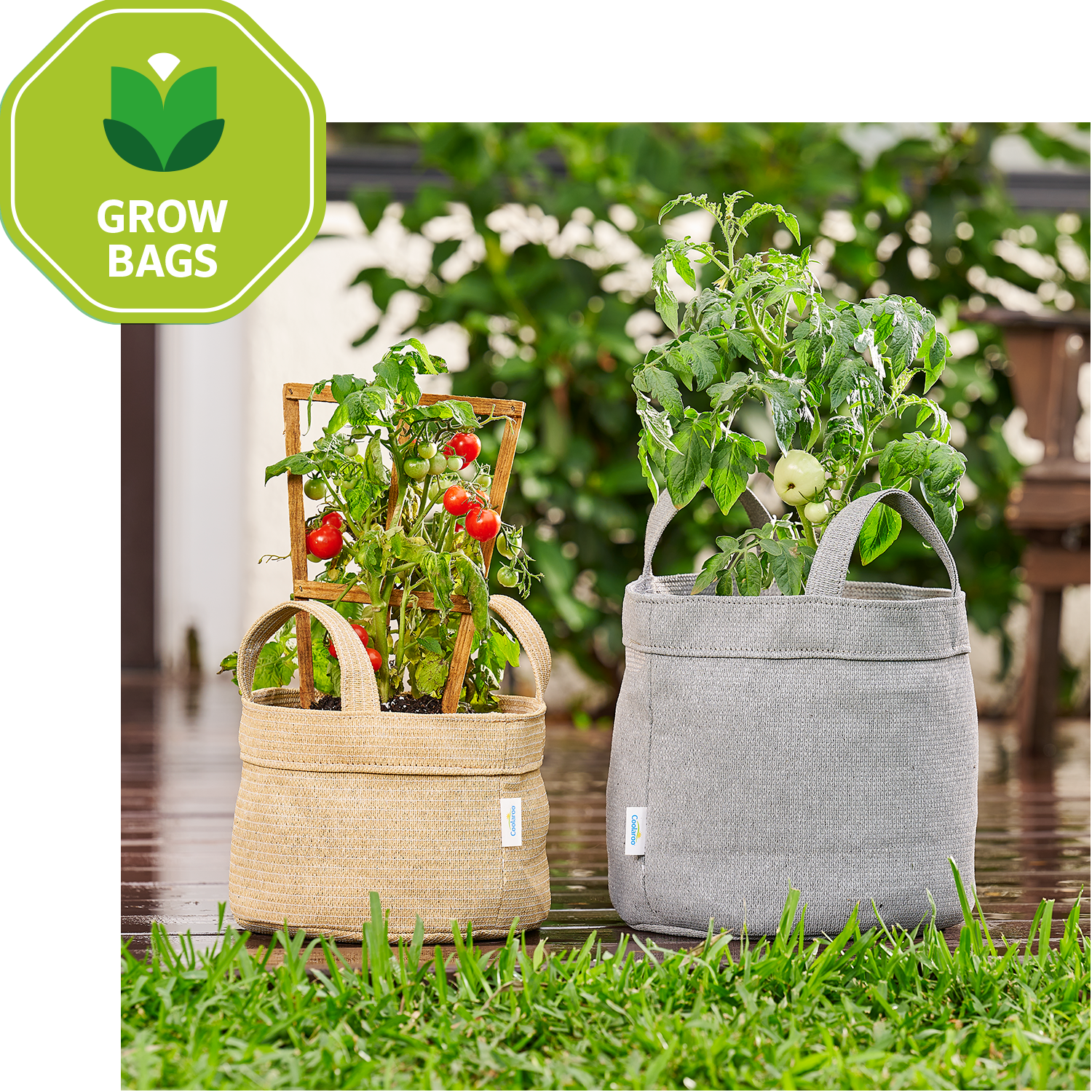 Grow Bags