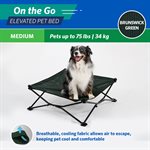 Medium 2.5' Foldable OTG Elevated Pet Bed - Brunswick Green