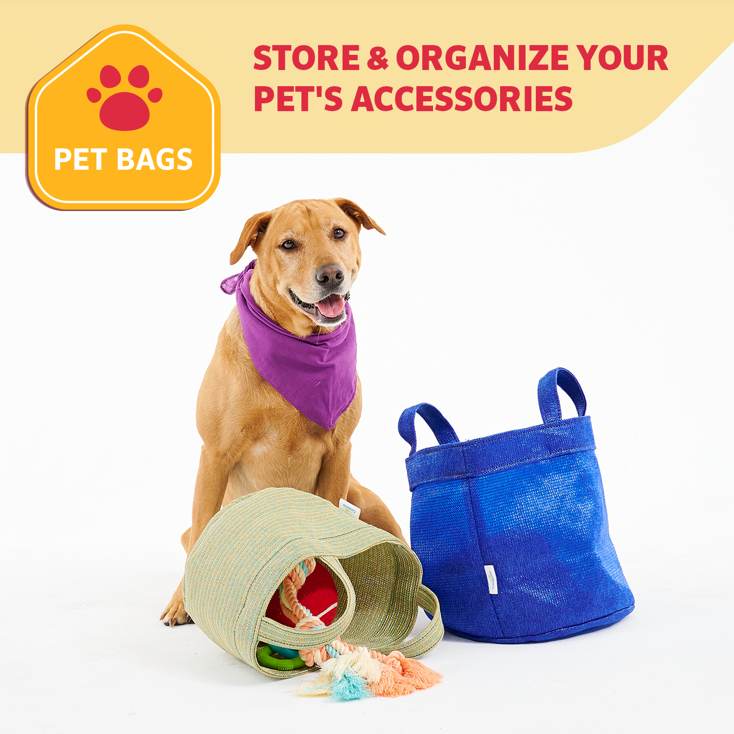 2-Pack Small & Medium Pet Toy Bags - Aquatic Blue