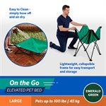 Large 3' Foldable OTG Elevated Pet Bed - Emerald Green