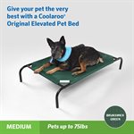 Original Elevated Pet Bed - Medium - Brunswick Green