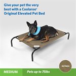 Original Elevated Pet Bed - Medium - Nutmeg