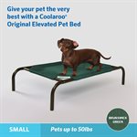 Original Elevated Pet Bed - Small - Brunswick Green