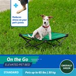 Standard 2' Foldable OTG Elevated Pet Bed - Emerald Green